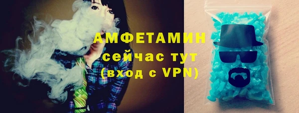 мет Алексин