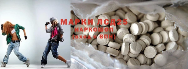хмурый Аркадак