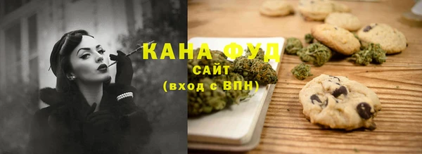 мет Алексин