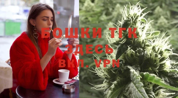 гашик Новодвинск