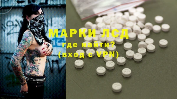 гашик Новодвинск