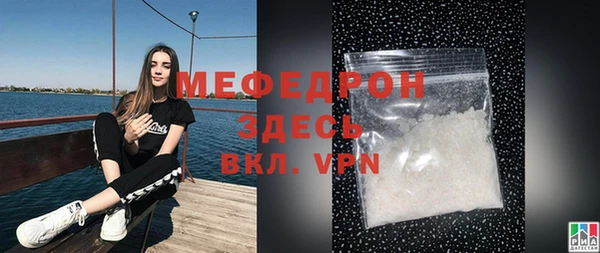 хмурый Аркадак