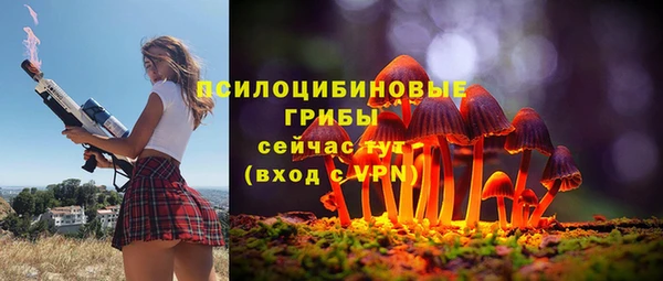 ALPHA-PVP Алексеевка