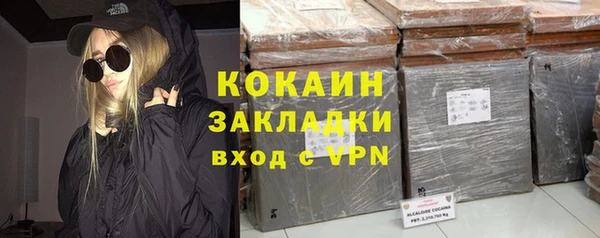 мет Алексин