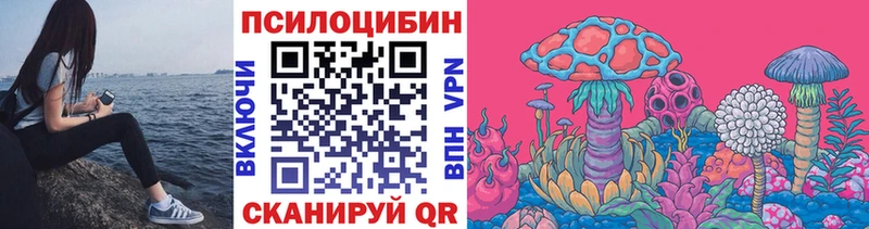 Псилоцибиновые грибы мухоморы  где найти   Клин 